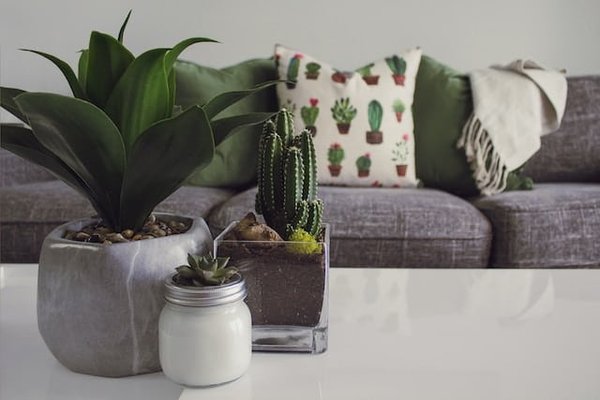 Quels sont les accessoires indispensables pour une décoration réussie ?
